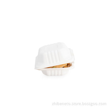 Eco Friendly Disposable & Biodegradable Molded Pulp Containers